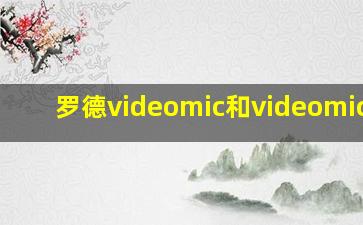 罗德videomic和videomic go